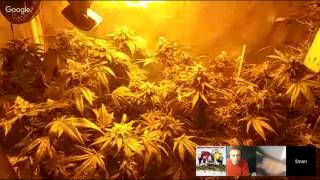 Sunday Night Live! Smoke Sesh And Grow Discussions #15