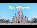 東京ディズニーランドvlog | ディズニーグルメ・アトラクション・パレードを満喫する1日