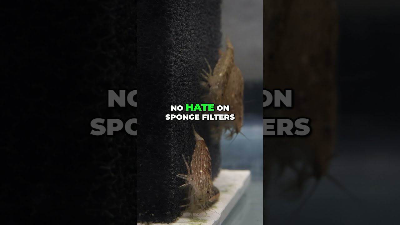 Why Matten Filters? + PPI Explained
