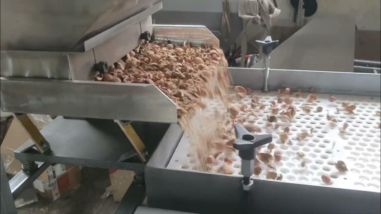 Вибро-сито сортировочное для для ядра грецкого ореха. - YouTube