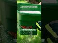 You are accidentally poisoning your yard with "good intentions."