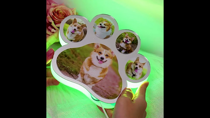 Custom Dog Paw Mirror Light