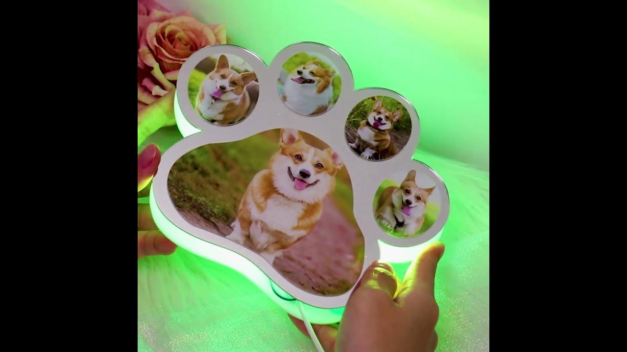custom-dog-paw-mirror-light-youtube