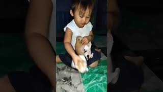 Kegiatan Keluarga Besar Arsy Apiza Anak Lucu Lagi Main Sama Anak Kucing Lucu Seru Sekali
