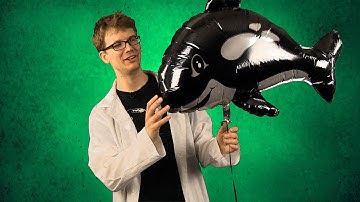 Strong Interaction: The Four Fundamental Forces of Physics #1b