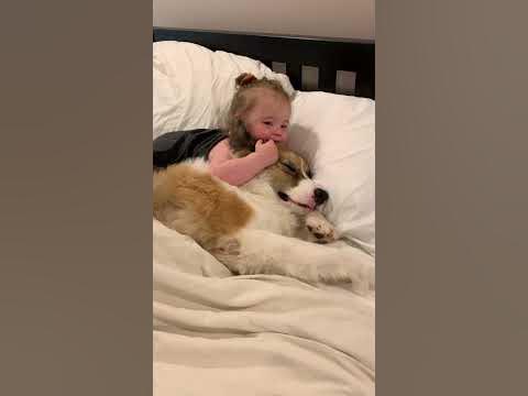 'BFFs' - Mother Shares Adorable Video of Daughter and Pet Dog