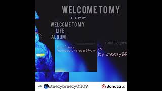 Another Interlude I Guess-Welcome To My Life#zimmusic #trending #zimcelebs
