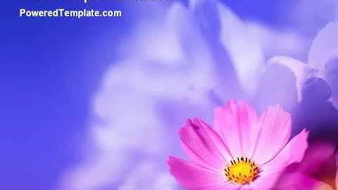 Flower PowerPoint Template by PoweredTemplate.com