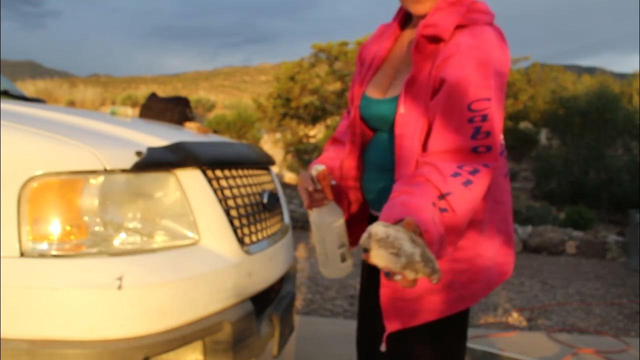 Fossil / Rock Slicing Them Open To See What Is Inside?! Part 1 Of 3 10