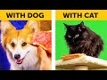 LIFE WITH DOG VS LIFE WITH CAT. Corgi life  Relatable facts by 5-Minute FUN