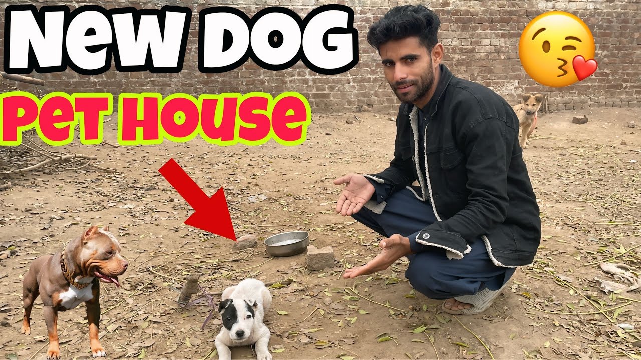 Apna Pet House Main Badshah Dog La Aye 🐶