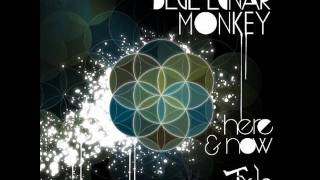 Video voorbeeld van "Blue Lunar Monkey - Two Vines (Ayahuasca) (Original Mix)"