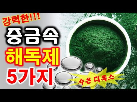 몸에서 중금속 빼는 강력한 해독제 5가지 소개, 중금속 배출 음식들, 수은 중독,수은 해독 제거