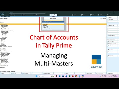 Chart of Accounts in Tally Prime For Multiple Ledgers and Groups