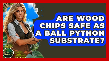 Are Wood Chips Safe As A Ball Python Substrate? - Reptilian Wonders