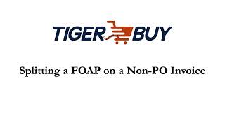 Splitting a FOAP on a Non PO invoice