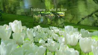 haddaway - what is love | speed up