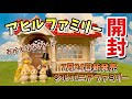 7月24日新発売】アヒルファミリー開封！【シルバニアファミリー