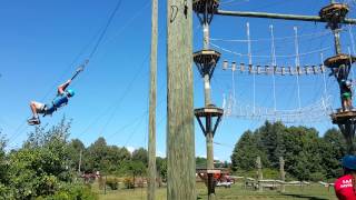 2015 Monkey Trunks swing