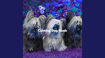 Pulsating Backdrops for Snuggly Pups