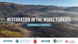 RESTORATION IN THE MODEL FORESTS - Episode 4 - Croatia