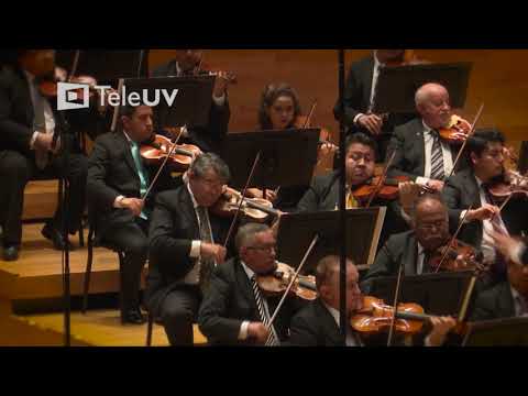 Orquesta Sinfonica de Xalapa - Ambos lados de la cortina
