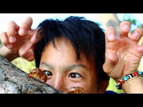 昭和大学アカペラ部LongFlags 追い出しコンパ　2013　OP