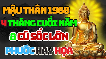 MẬU THÂN 1968: 8 Cú Sốc Lớn 4 Tháng Cuối 2025 và Cách HÓA GIẢI Hạn Lớn