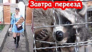 VLOG К переезду всё готово