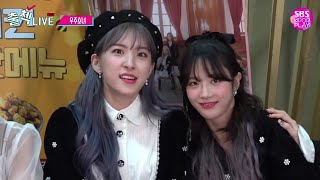 Just WJSN Things || WJSN (우주소녀) Funny Moments