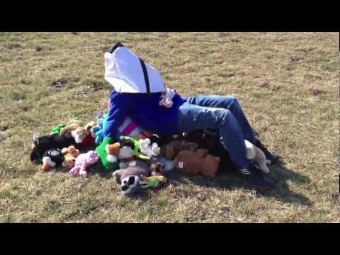 Harlem Shake (Stuffed Animal Edition)