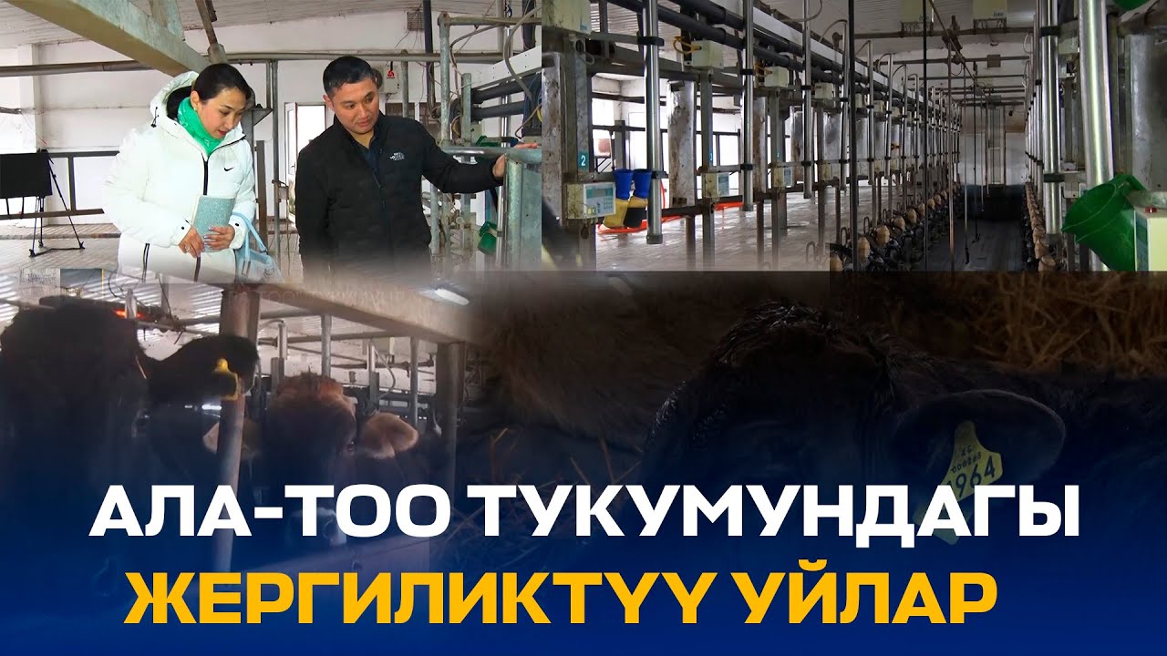 АЛА-ТОО ТУКУМУНДАГЫ ЖЕРГИЛИКТҮҮ УЙЛАР // РЕГИОН