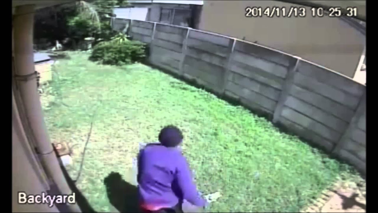 Burglar Escapes Savage Dog Attack! (Original) YouTube