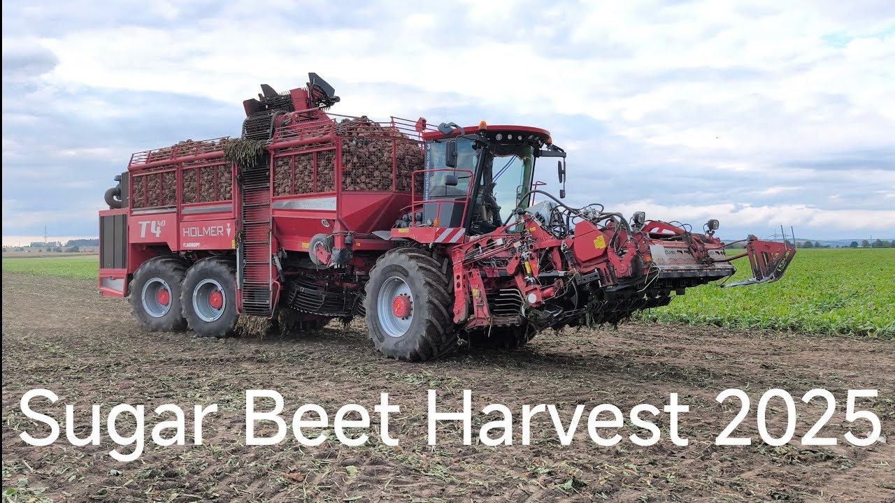👨‍🌾 Sugar Beet Harvest 👨‍🌾 Začátek řepné kampaně na Hané 2025 👨‍🌾 1/4