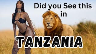 Top Attractions Things to Do in Tanzania | Tanzania travel Guide
