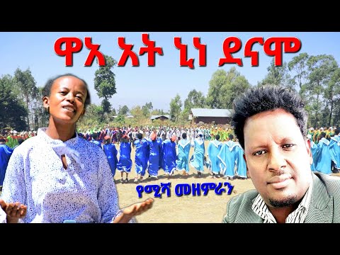 ቪዲዮ: አሮዮ ሉፒን እያደገ - ስለ አሮዮ ሉፒንስ እንክብካቤ ይወቁ