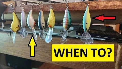A DEEP Dive into Deep Diving Crankbaits! How to? Why to? When to? go down.