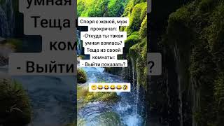 #юмор #шуточное #смех #смехпродлеваетжизнь #прикол #смешновидео #анекдот #смешнойшортс #анекдоты