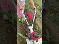 Hard Work Yie ldsIts Rewards The True Life Of Farmers #micro #mini #farming #tiller #shorts