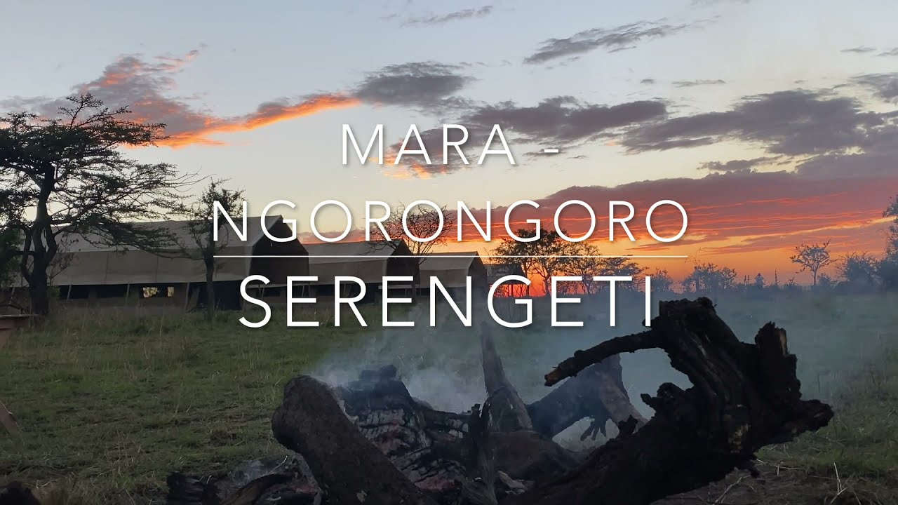 Mara River Crossings & Co