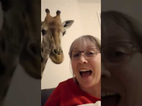 الربيع الاستاذ فريد الأطرش طيب الله ثراه