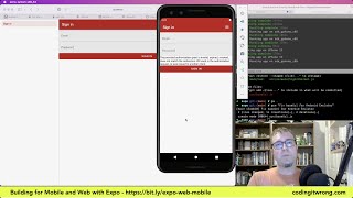 Building for Mobile and Web with Expo, part 3: Sign In