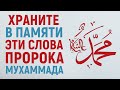 Слова Пророка, заставившие ансаров плакать | Рамадан аль-Буты