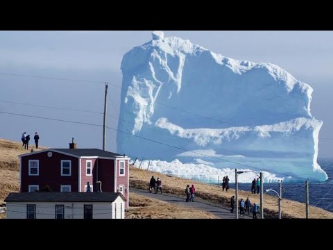 Video: Nenek Terapung Di Laut Di Atas Gunung Es