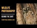 Wildlife Photography Behind the Shot: Tawny Owls in Sweden (Plus tips for taking pictures of owls)