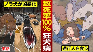 【実話】狂犬病の犬を放し飼い。凶暴化して通行人を食い殺す。