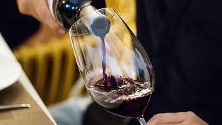 Things to know about Spanish Wine-Best of Spain Wine Festival