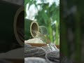 Sleep to Bamboo Water Fountain | 10-Hour Version on Our Channel!