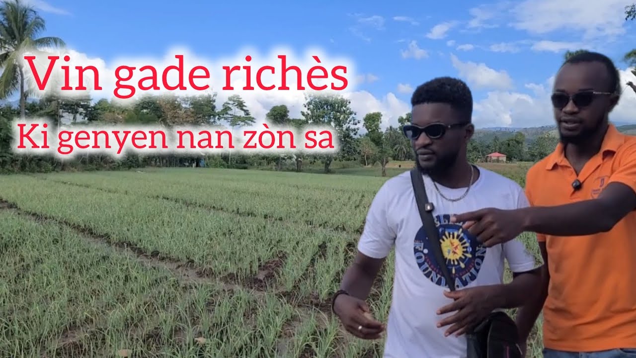 Zòn sa ka bay tout depatman manje