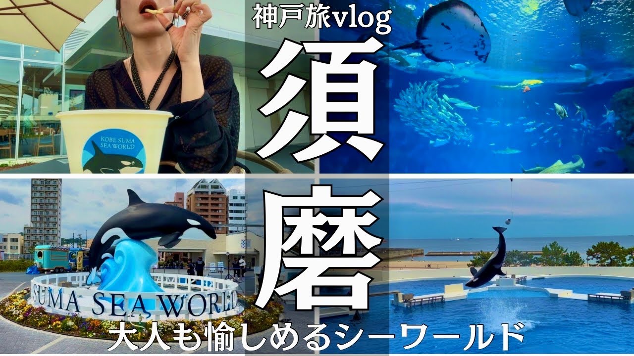 【神戸旅vlog】オルカの大迫力！須磨シーワールドを半日で満喫する大人女子旅Vlog｜須磨・観光/グルメ/旅動画